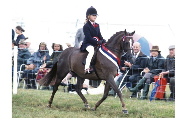 Happy birthday Charlotte Dujardin! 33 pictures to celebrate her big day  