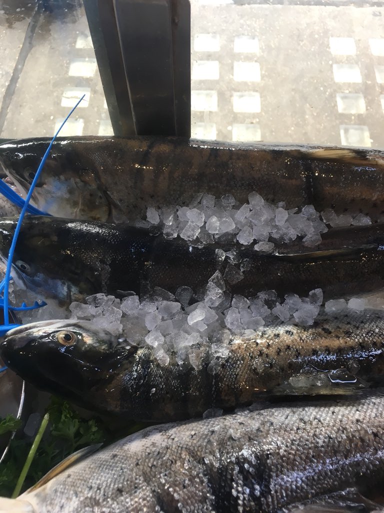 Scotland, as always, you’ve done us proud!