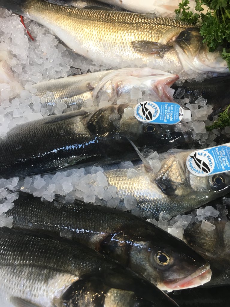 Sparkling wild cornish sea bass