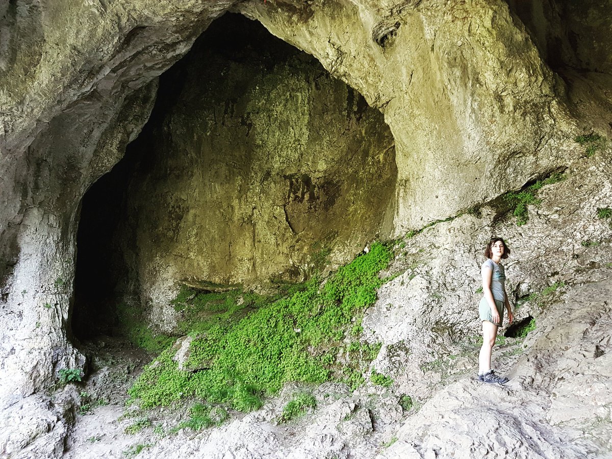 WildFilms_Ltd's tweet photo. Never stop exploring! You don't need to go abroad to let out your inner Lara Croft or Indiana Jones. Britain may be a small island but it boasts some incredible places!

#nationaltrust #britishcountryside #ilam #dovedale #peakdistrict #cave #adventure #explore #agranddayout https://t.co/VQMZBhXJ7b