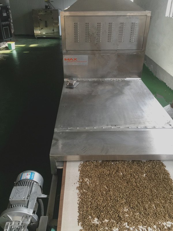 MicrowaveDryer's tweet photo. BSF Larvae Microwave Drying,Puffing and Sterilization Machine
https://t.co/H5grkt64Yg
#blacksoldierfly
#blacksoldierflylarvae
#flylarvae
#bsflfarm
#sustainable
#bsfl
#bsf
#worms
#Hermetiaillucens
#bsflarvae
#insectprotein
#insectproteins
#foodwaste https://t.co/9UrpYku9Eo
