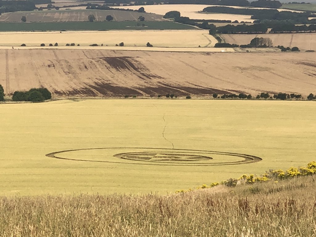 Crop circle near Marlborough. 👽👽🤔 #myMCSS #WiltshireWalks