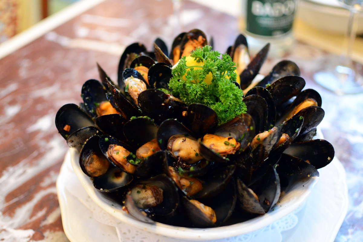BistroMer's tweet image. Het mossel seizoen is weer begonnen!! deze zijn gegratineerd,gegrild en gekookt te bestellen vanaf 17.50eu @BistroMer 👩‍🍳
bij mooi weer tuin en serre geopend1
#Zeeuwemosselen #seafood #bistro #Foodie #lesmoules #DenHaag #seafoodrestaurant #freshfood