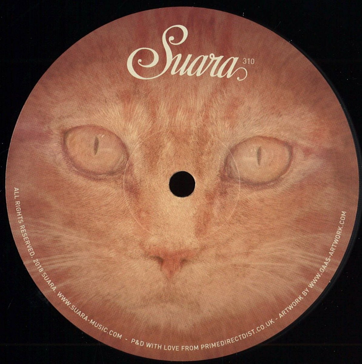 SuaraMusic's tweet photo. Don't forget you can already get one of our most special releases. Cameron James Laing - Her with remixes from @prins_thomas Roman Poncet and @PeterPardeike 
https://t.co/t1XU8wuGjb https://t.co/TJbfDWOvB3