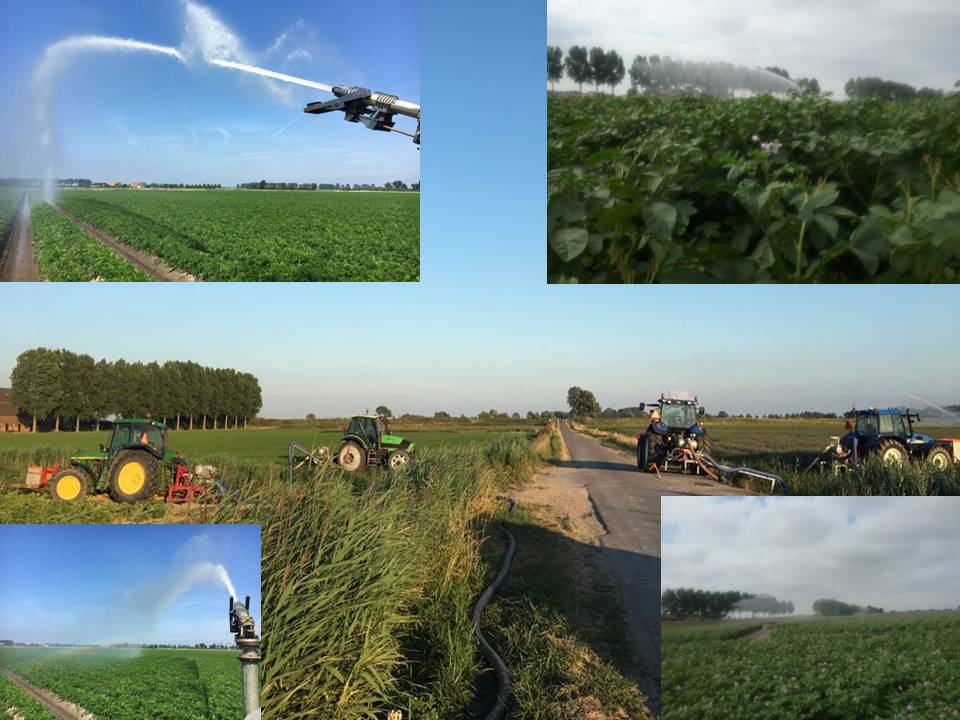 ZLTOTholen's tweet photo. waterschap Scheldestromen zorgt voor goed water De boeren zijn druk bezig met 58 haspels op Tholen https://t.co/mbRTi8mNjk