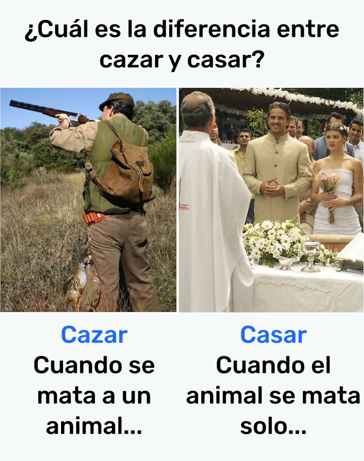EsteMuchachote's tweet image. Cuando el animal se mata solo... jajaja
#FelizJueves #FelizMiercoles #FelizJuernes #SuenoCon #PareLaGuerra #Chistes #comedia #comedyshow #risa @risasYcomedia #Risas #RETWEEET