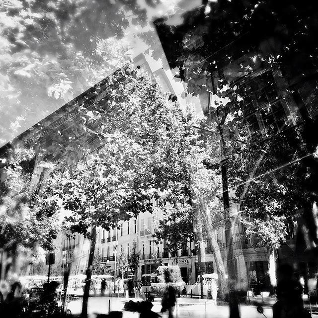 aivicmusic's tweet photo. Aix-En-Provence series
#doubleexpo #doubleexposition #doubleexposurephotography #doubleexposed #doubleexposureeffect #doubleexposure #bnwphotography #experimentalphotography #minimal #lensculture #lensculturestreets #bnwphotography #blackandwhitephoto #b… https://t.co/7CIByf7NAT https://t.co/WyPIMntteq