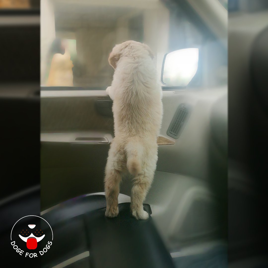 the_jerry's tweet photo. Look At Me!
.
.
.
#money #today #market #dogefordogs #blockhedge2018bahrain #blockhedge2018bangkok #blockchain #blockhedge #cryptocommunity #bitcoin #blockchainevents #cryptocurrency #cryptoevents #ethereum #BTC #cryptocurrencynews #cryptonews #bitcoinprice #currency https://t.co/Iog3Pdkm8l