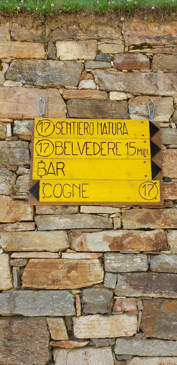 Oggi, così. #MusiCogne