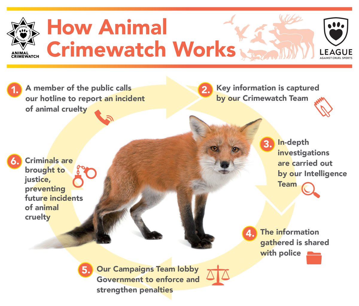 LeagueACS's tweet photo. Calls to our Animal Crimewatch provide crucial information to help us to carry out investigations, provide evidence and fight for tougher animal cruelty penalties.
Please help us keep this vital life line open by donating to our #CallingForJustice appeal https://t.co/npT5SaBIBH https://t.co/KW1UWhrwzI