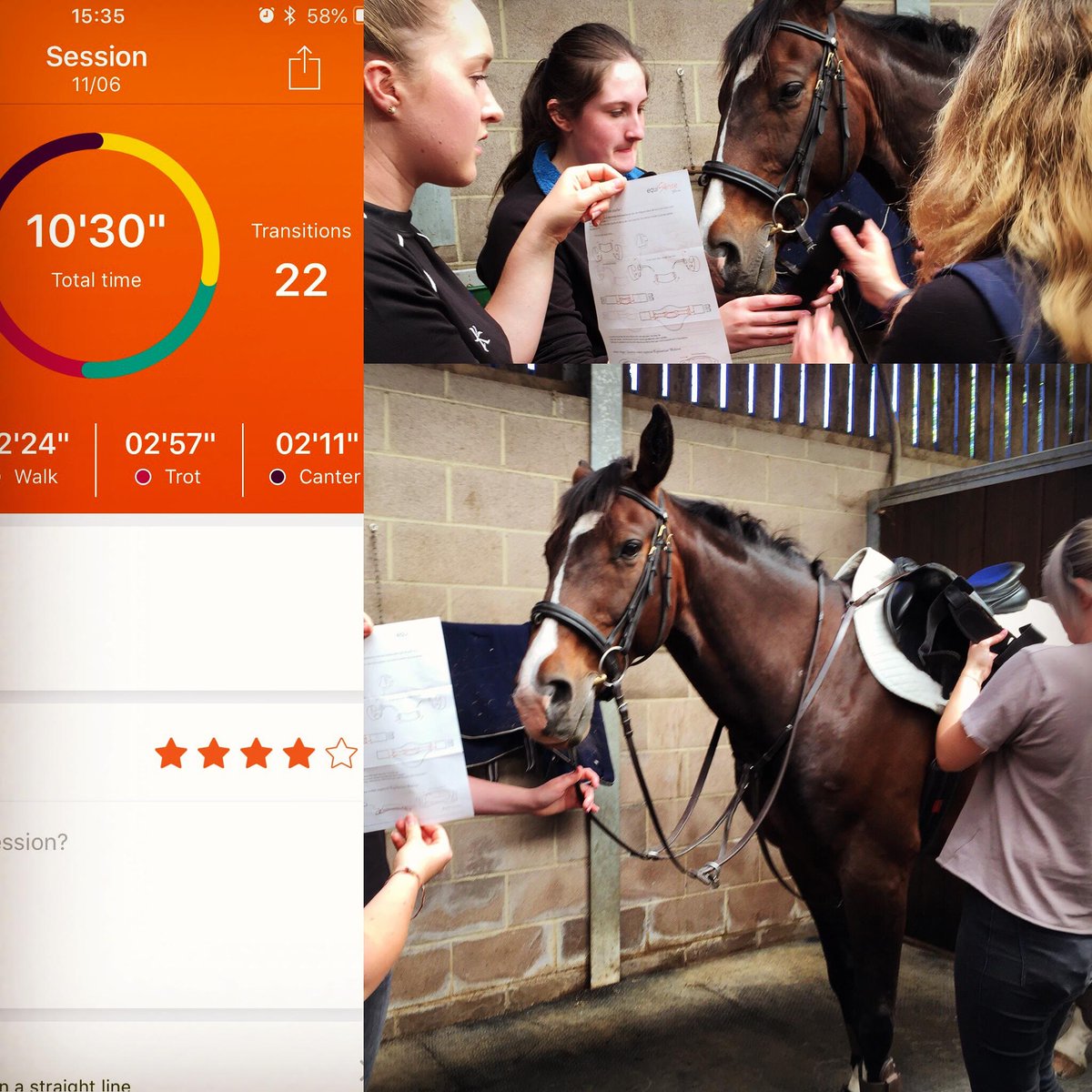 UC_Sparsholt's tweet photo. #FlashbackFriday to our equine students raising enough money from their #UCSEquineTech Research colloquium this year to buy #EquiSense Motion Detectors for undergrad research! Thank you to @21stCenturyRid1 for providing with such great kit! 

#UCSEquine #equineresearch #equine https://t.co/5qEOH3ybXs
