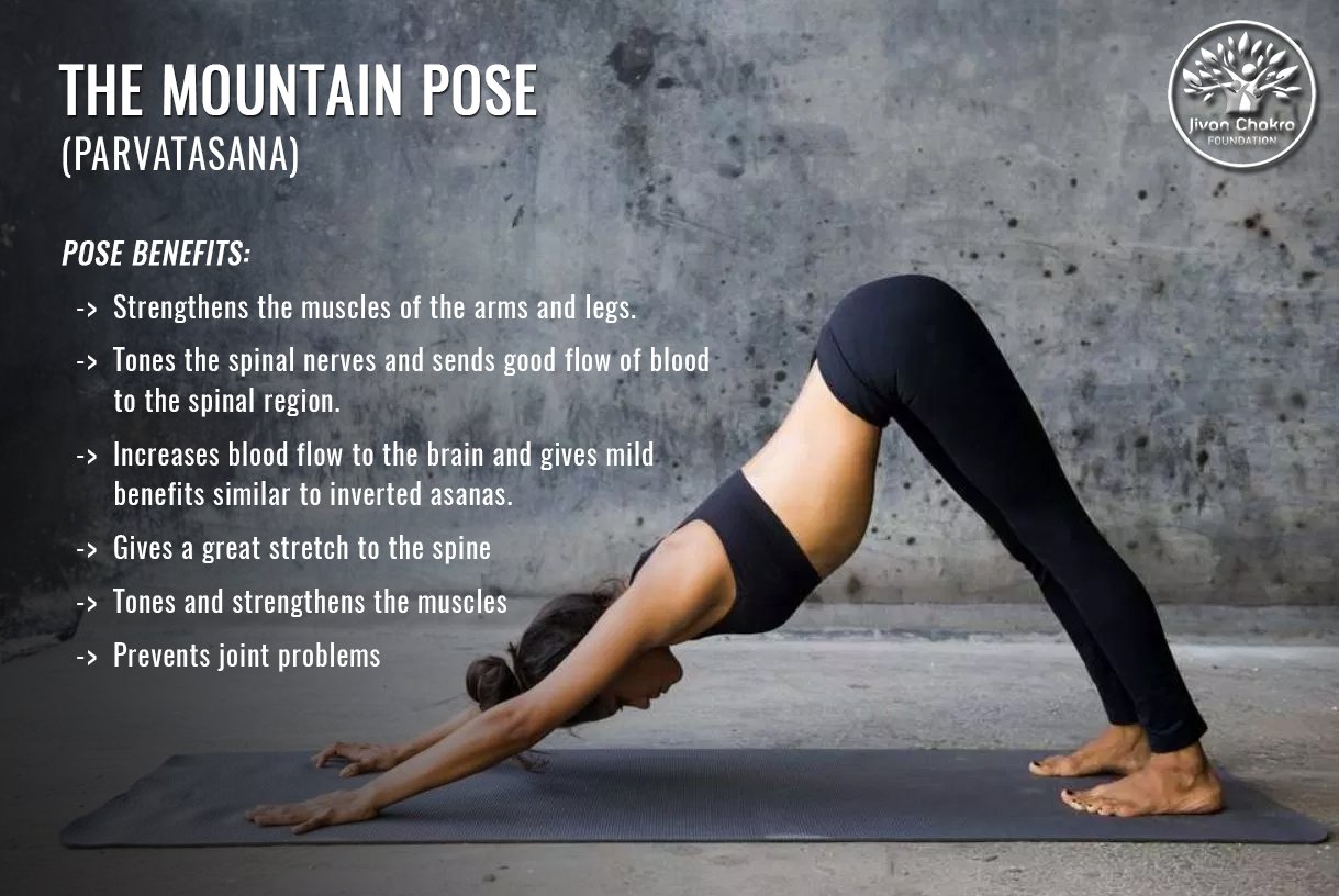 Women silhouette yoga mountain pose tadasana Vector Image