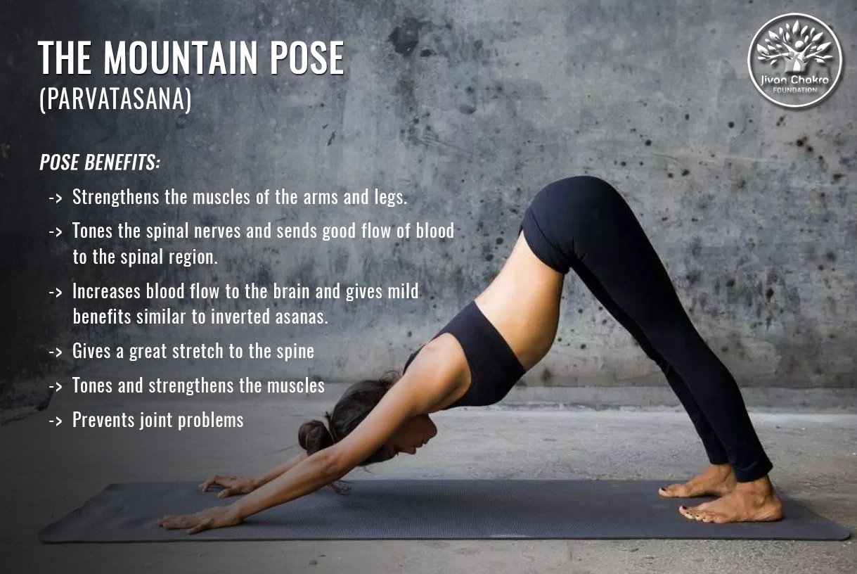 Mountain Pose En Espanol Mountain Pose En Espanol