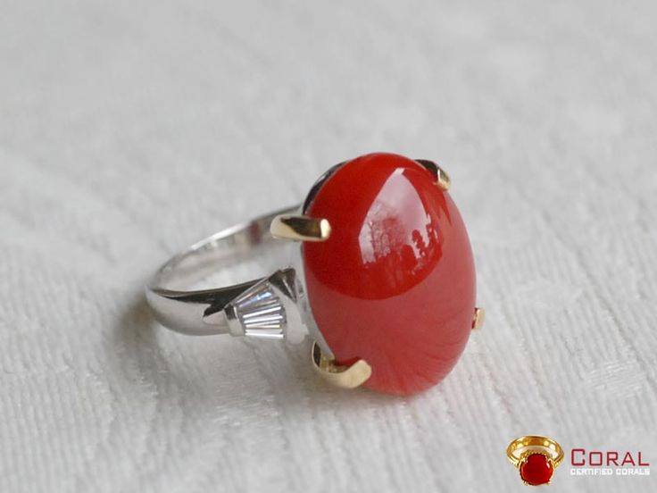 Natural Coral Ring-coral Ring for Astrology Purpose-real Red Coral Gemstone  Ring-yellow Gold Fill Ring-women Rings Jewelry-gift for Her - Etsy