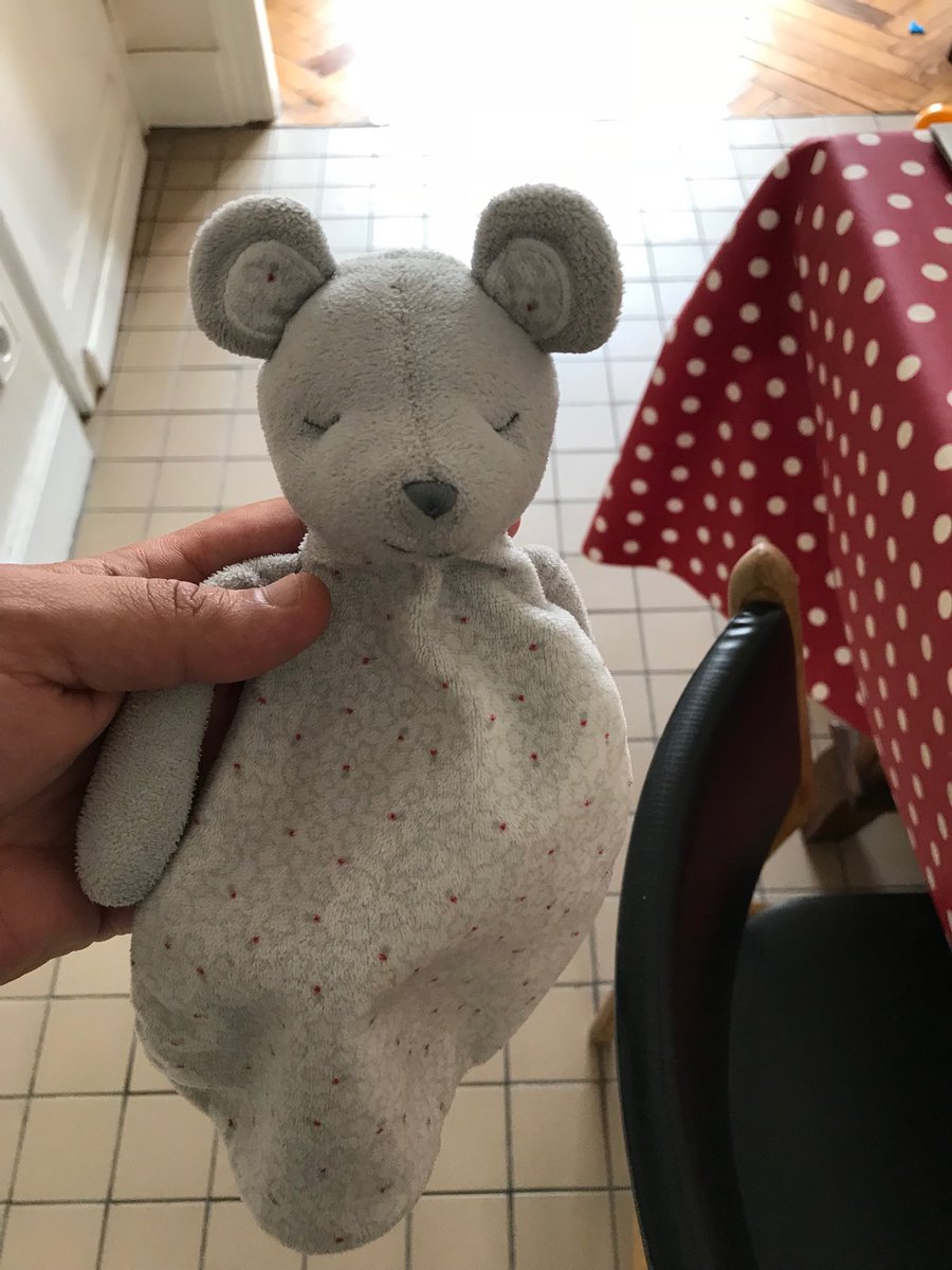 Bonjour Twitter. Ma petite Madeleine a perdu son doudou en centre-ville de Lille quelque part entre le Furet et la gare Lille Flandres, rue Faidherbe. Si tu le croises, dit lui qu’on l’attend. (C’est son jumeau sur la photo #parentsprevoyants)