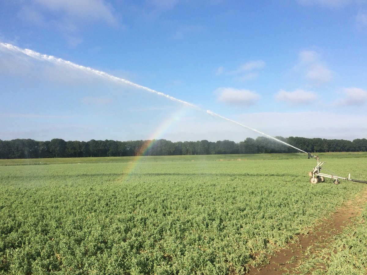Soms mopperen we op het waterschap. Maar nu super goed #peilbeheer op Voorne-Putten en IJselmonde! Bedankt <a href="/hollandsedelta/">waterschap Hollandse Delta</a>  #goedbezig 👍👍