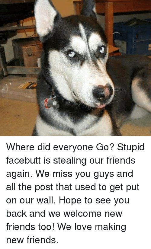 humanauction's tweet image. also, WTF?????? why have i lost 200, nearly 300 in fact, followers OVERNIGHT?! is this what brexit is going to feel like?
happy friday,
HA
#FridayFeeling #brexit #weallneedfriends