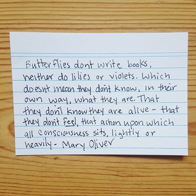 thegoodviv's tweet photo. Inspired by @designcrush I've started collecting quotes on notecards. #365quotes2018 https://t.co/8ipfaqCK0C https://t.co/HcqsVotzjV