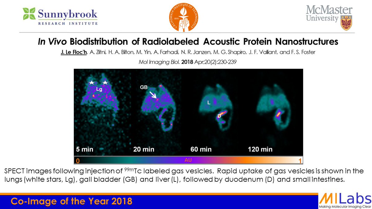 Milabs The 18 Milabs Image Of The Year Award Co Winners Dr Johann Le Floc H Et Al From Sunnybrook Caltech Mcmasteru For Radiolabeled Gas Filled Protein Nanostructures Dr Ann Marie Chacko Et