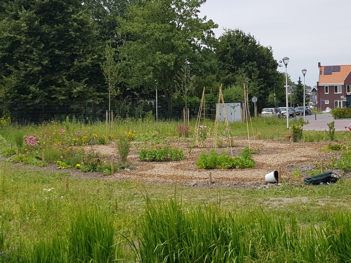 Pluktuin aan de Brink krijgt steeds meer kleur. <a href="/Ackerswoude/">Ackerswoude</a> groeit én bloeit!