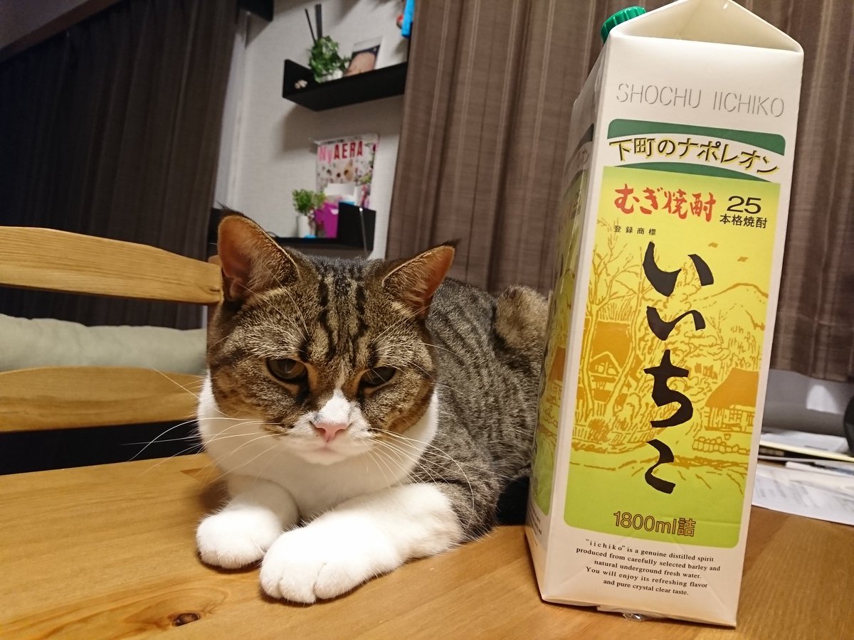 せんじゅちゃん