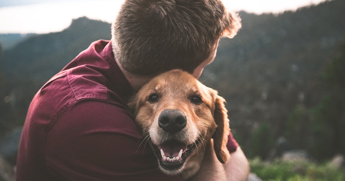 parcelpet's tweet photo. For #CheerUpTheLonelyDay we're looking back to our Mental Health Awareness campaign. Read all about the companionship that our pets offer us here: https://t.co/wFaX1P0ofA 🐶🐱💚 https://t.co/F856ie7r0V