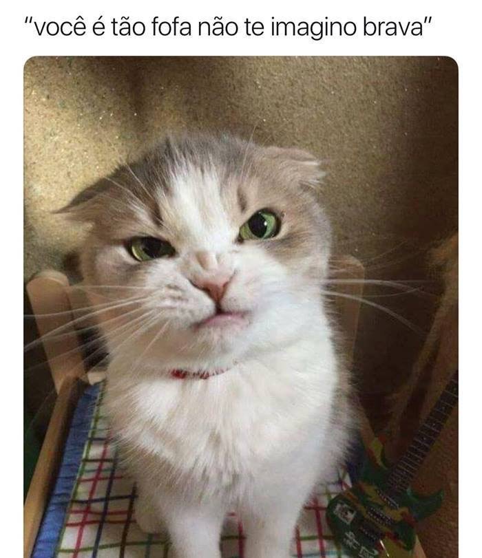 I'm at Banzai Honda Pampulha in Belo Horizonte, Minas Gerais w/ @janinhamarvie <a href="/shellon_/">Shellon</a> @leniltonmorato @virusbrasil <a href="/xandaxokholat/">Xokholat</a> swarmapp.com/c/6ATEIfduQwv