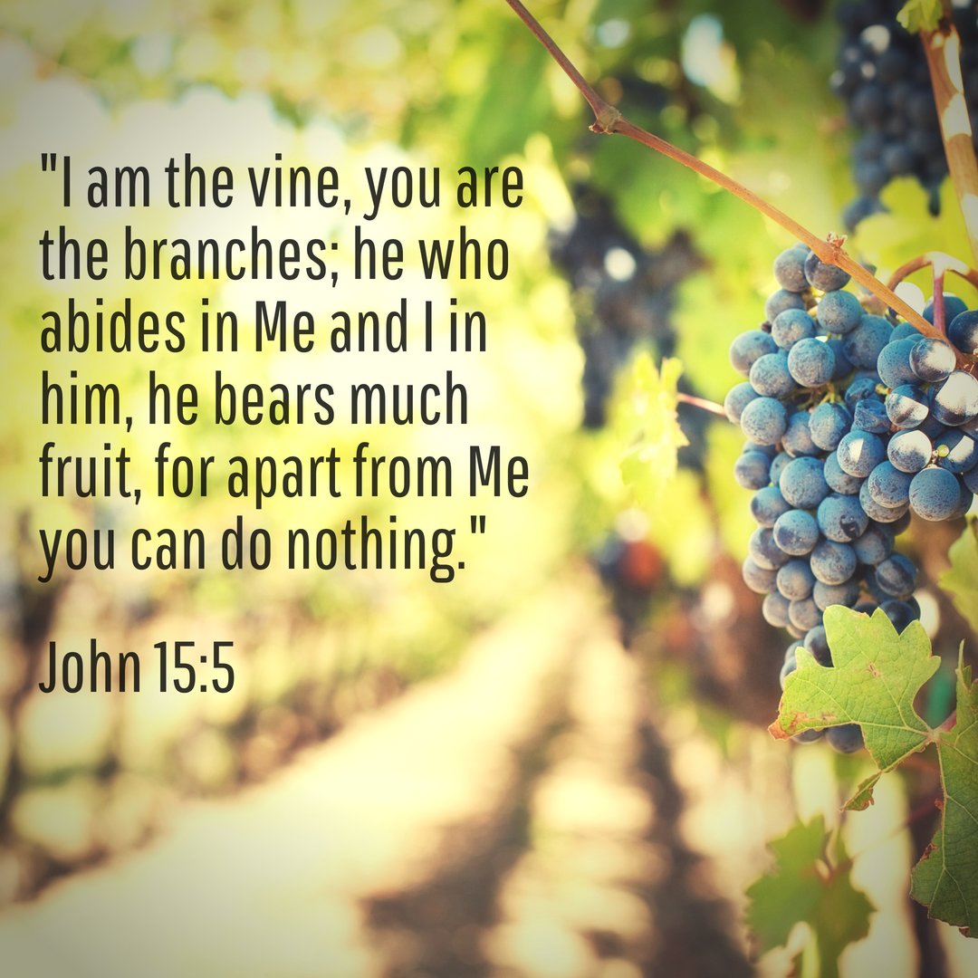 FP_Church's tweet photo. Rest in the Vine, Jesus Christ today! https://t.co/UHvj8gtTWZ