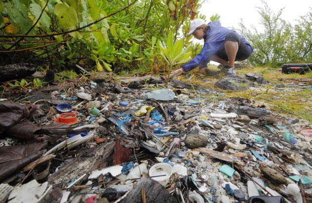 With an estimated 8 million tonnes of plastic entering the world’s oceans each year we need redesign, rethink, reduce, reuse and recycle our use of single-use plastic #PlasticFreeJuly