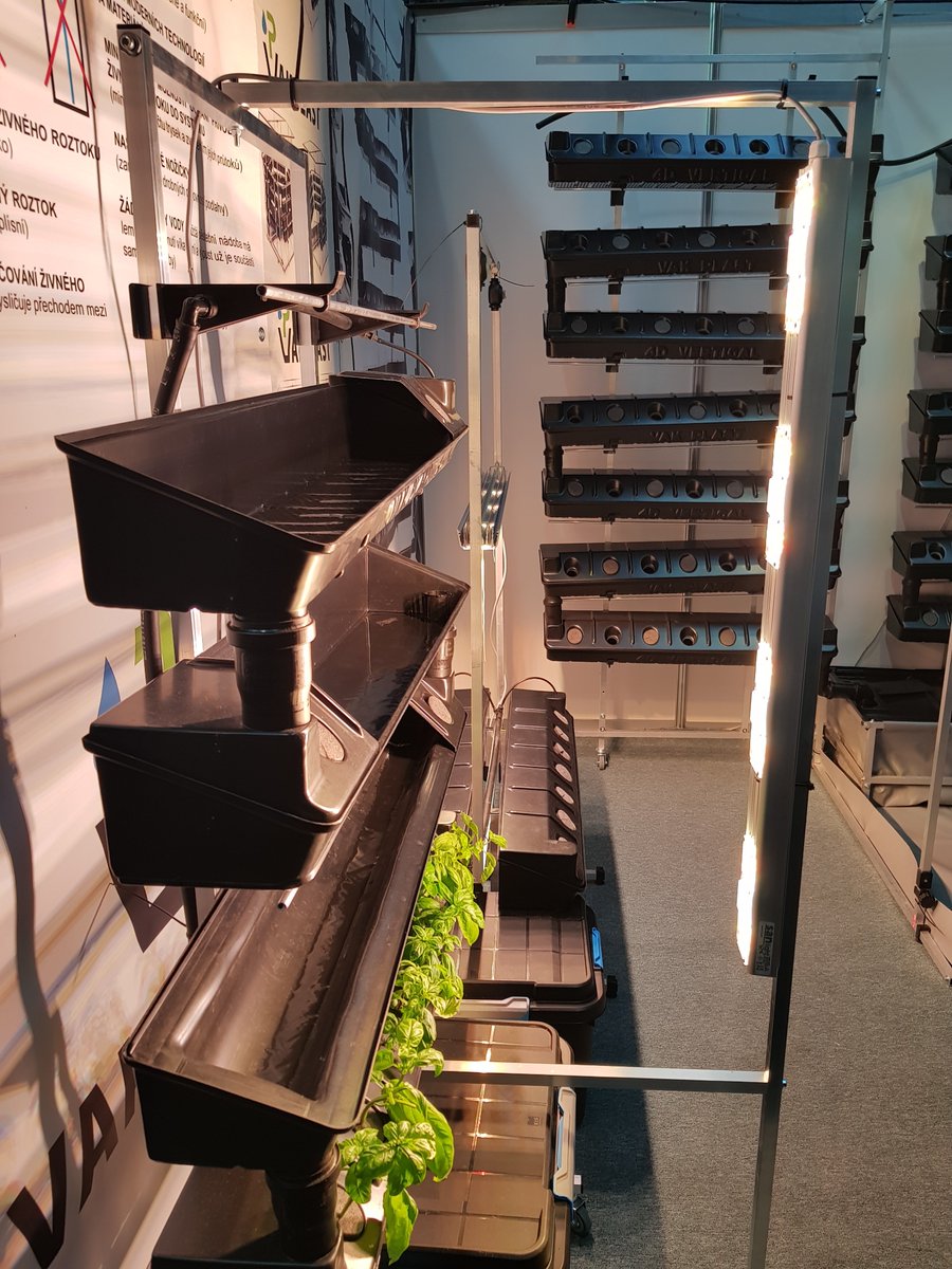 SANlight tweet media