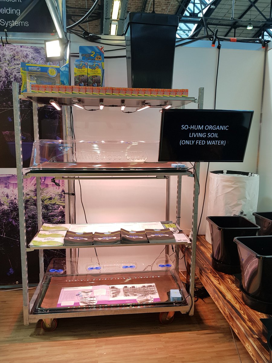 SANlight tweet media