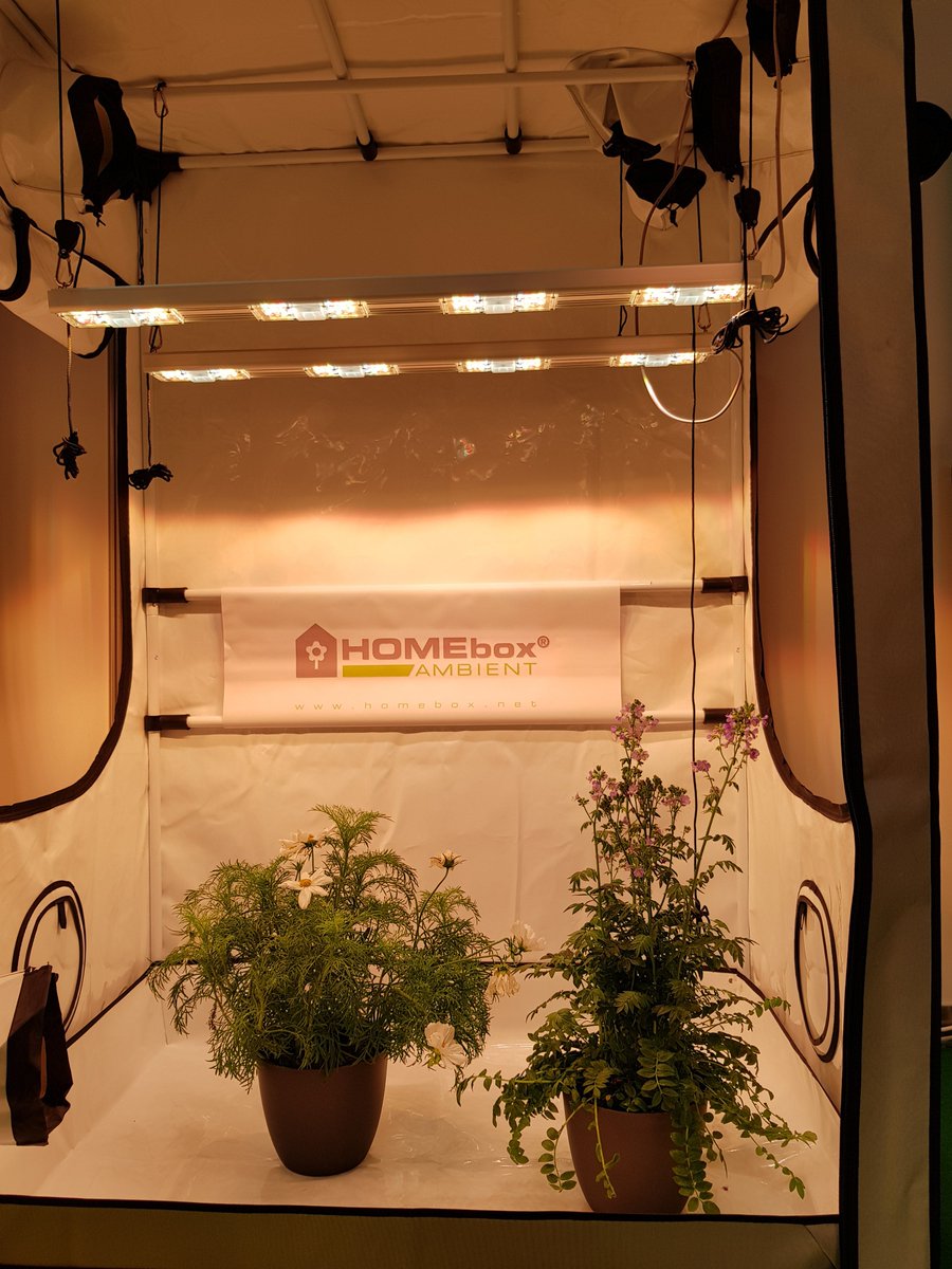 SANlight tweet media