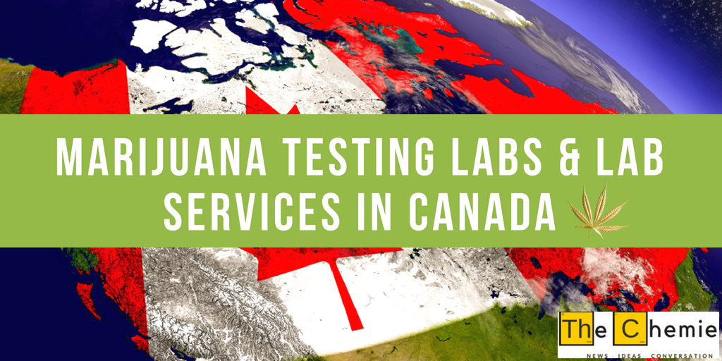 TheChemie's tweet photo. #marijuananews #Marijuanastocks #CannabisOil #CannabisCommunity #Hemp #testing #Pesticides #HERBIE #green #cbdflowers #cbdoil #chemist #chemistryregents 

https://t.co/AzZ5Z6FxOA https://t.co/yK1r2E3WEN