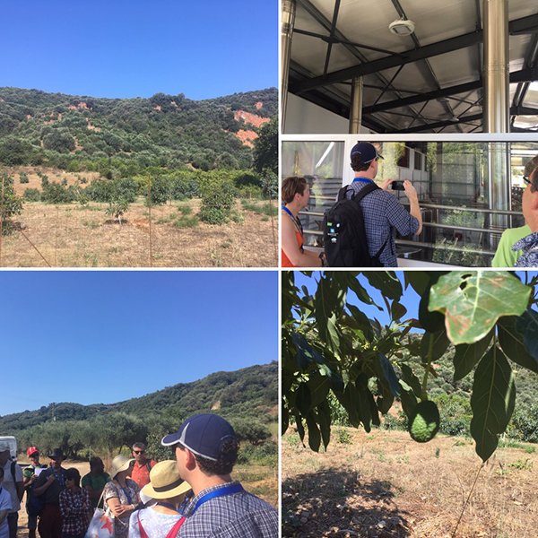 CCRI (@ccri_uk) on Twitter photo Recently, a team from <a href="/CCRI_UK/">CCRI</a> attended <a href="/ChaniaIFSA2018/">13th IFSA Symposium</a> in Crete. Read about their activities during the week on our news page: ccri.ac.uk/ifsa2018/ #IFSA18 #IFSA2018 <a href="/UoGresearch/">UoG Research</a> <a href="/UoG_ECRN/">UoG Early Career Research Network</a> Recently, a team from <a href="/CCRI_UK/">CCRI</a> attended <a href="/ChaniaIFSA2018/">13th IFSA Symposium</a> in Crete. Read about their activities during the week on our news page: ccri.ac.uk/ifsa2018/ #IFSA18 #IFSA2018 <a href="/UoGresearch/">UoG Research</a> <a href="/UoG_ECRN/">UoG Early Career Research Network</a>