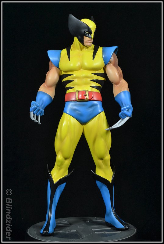 TheChriz's tweet image. @WWERollins #WMIdeas Attire#2