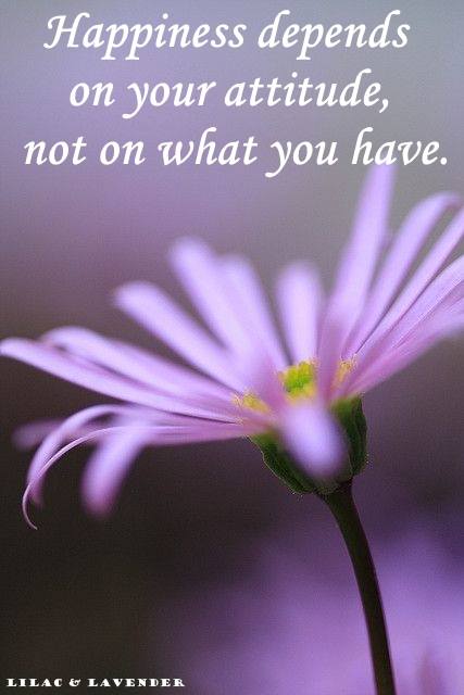 Marietta117's tweet image. #BreatheDeep #exhaleallnegativity #purifythoughts #laugh 🙃