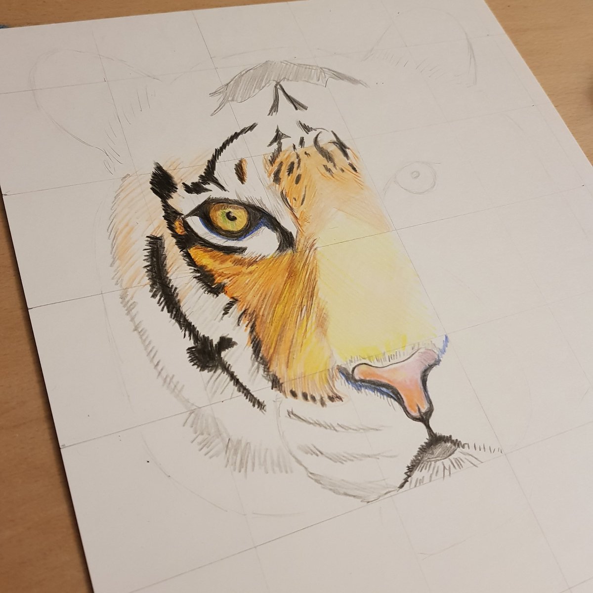 c_morgan_art's tweet photo. Spent the evening attempting my first hyper realism drawing. Definetly a new challenge but enjoying it. 

#illustration #illustrationdaily #art #artist #hyperrealism #doodle #doodling #doodleart #tiger #animal #pencil #sketchbook #sketch #devon #devoncreatives #devonartist https://t.co/UhadwSrLn2