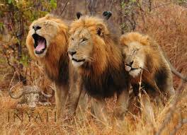 🏴󠁧󠁢󠁥󠁮󠁧󠁿🏴󠁧󠁢󠁥󠁮󠁧󠁿🏴󠁧󠁢󠁥󠁮󠁧󠁿