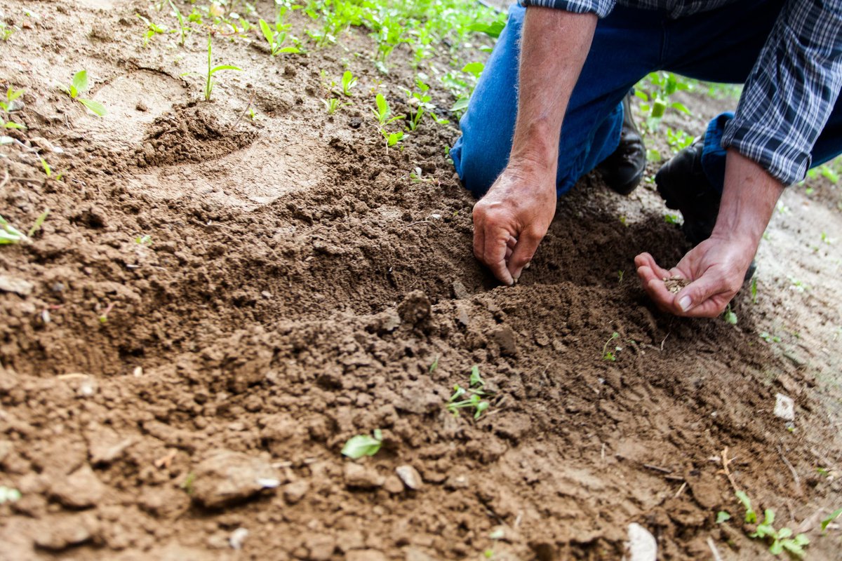 AnkorPilates's tweet photo. Summertime is a great time to get #gardening. But have you ever "done your back in" whilst weeding or mowing the lawn? #Pilates is a good way to increase spinal mobility and reduce your risk of injuring yourself, so you don't need to worry about hurting yourself in the garden! https://t.co/A6oPTGYKBa