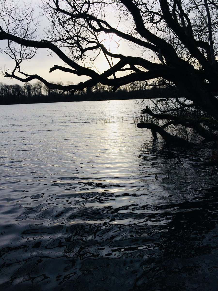 Laois Tourism (@tourism_laois) on Twitter photo Laois Walking Festival continues, Grantstown lake this evening at 7:30pm, meet at the lake. Wonderful chance to enjoy the lake and surroundings. <a href="/laoispartner/">@laoispartnership</a> <a href="/LaoisWalks/">Laois Walks</a> <a href="/LaoisToday/">Laois Today</a> @TheKilleshin <a href="/MidlandsPark/">Midlands Park Hotel</a> <a href="/midlands103/">Midlands103</a> <a href="/LaoisNews/">Leinster Express / Laois Live</a> Laois Walking Festival continues, Grantstown lake this evening at 7:30pm, meet at the lake. Wonderful chance to enjoy the lake and surroundings. <a href="/laoispartner/">@laoispartnership</a> <a href="/LaoisWalks/">Laois Walks</a> <a href="/LaoisToday/">Laois Today</a> @TheKilleshin <a href="/MidlandsPark/">Midlands Park Hotel</a> <a href="/midlands103/">Midlands103</a> <a href="/LaoisNews/">Leinster Express / Laois Live</a>