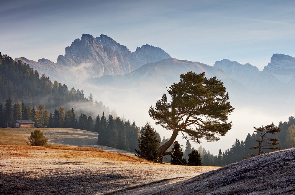 FotoVideo tweet media