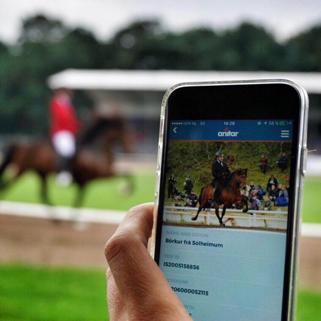 CheckAnitar's tweet photo. Check out our #Instagram account 😁📸

https://t.co/2Dqz8twjGy 

#icelandichorse #worldrecord #landsmot #horsebreeding #tölt #horsesoficeland #HorseRacing #stallion #stallions #landsmóthestamanna #horseshow #horse #horses #rider #Anitar https://t.co/WbIiPQVOuu