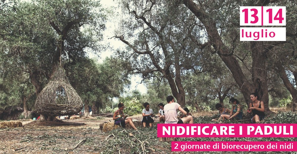Nidificare i #Paduli. Due giorni per un #laboratorio di bio-recupero dei nidi d'artista dell'#uliveto pubblico del Parco Paduli. Iscrizione gratuita con pranzo sociale incluso. Info:3775341053. #landart #art #creative #weareinpuglia