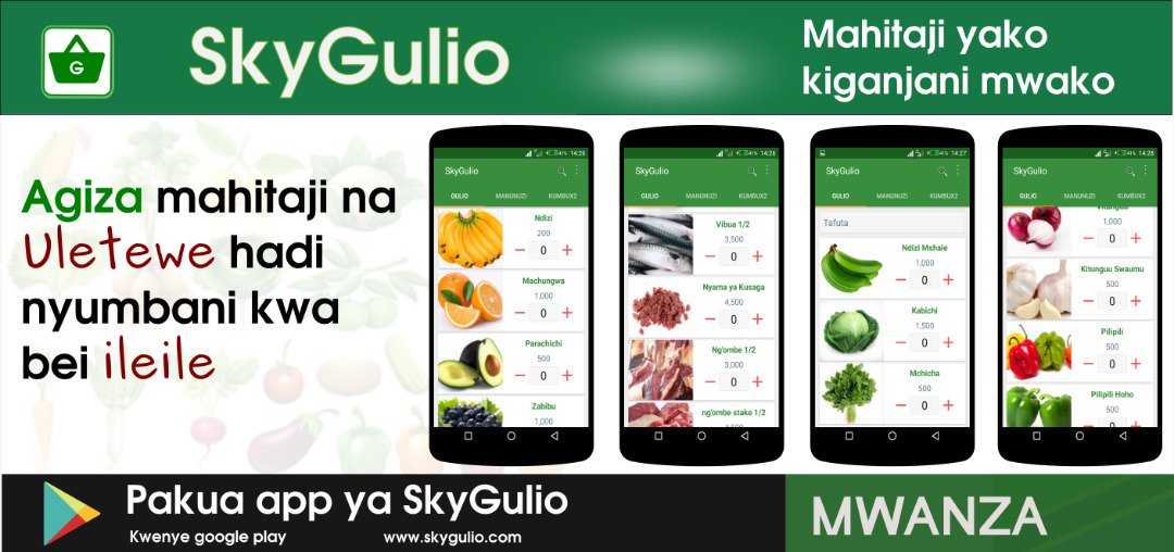 SkyGulio tweet media