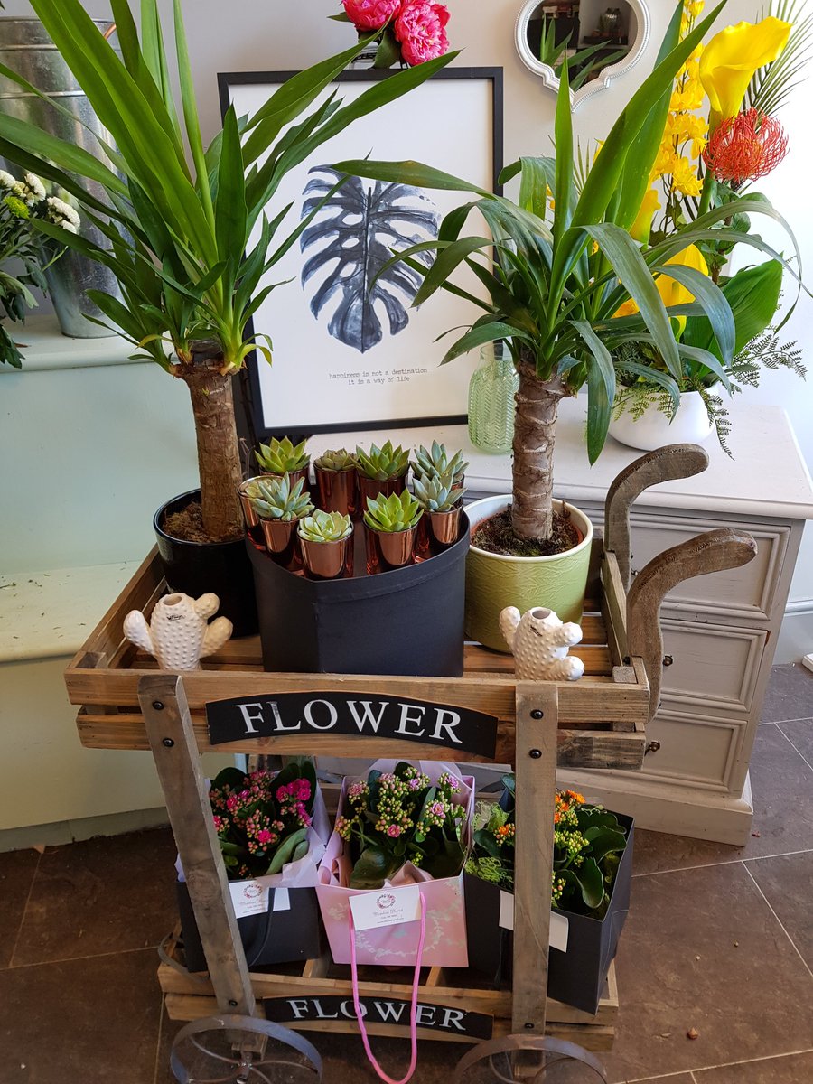 Monton Florist tweet media