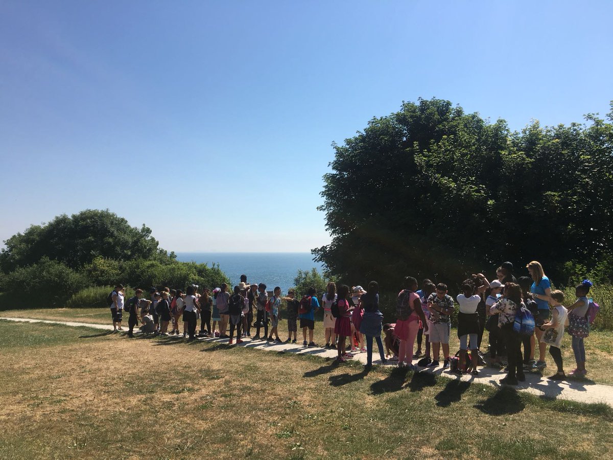 FoxfieldPrimary tweet media