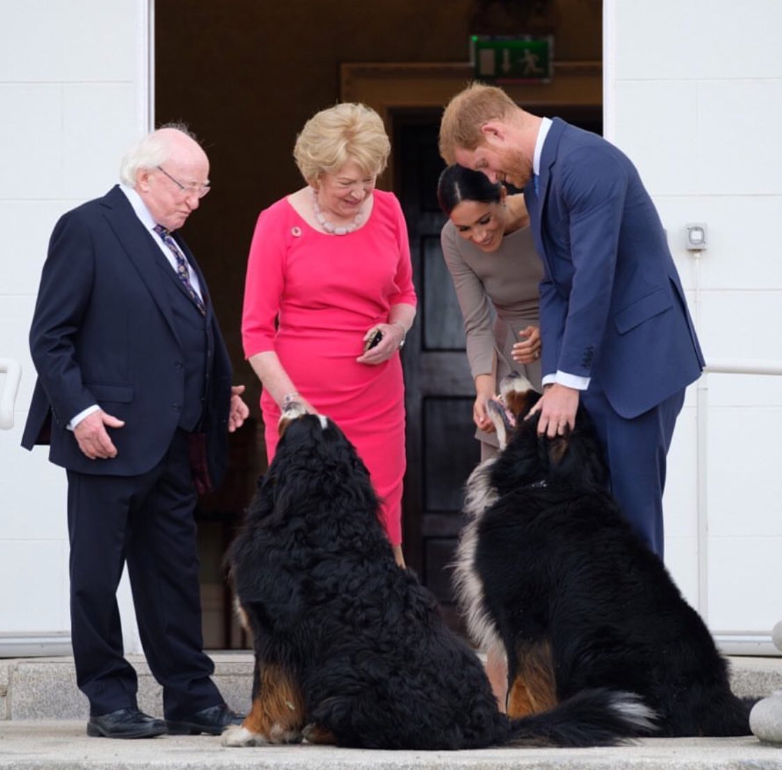 When Harry and Meghan met Bród and Síoda. The only meeting that really matters 🐶