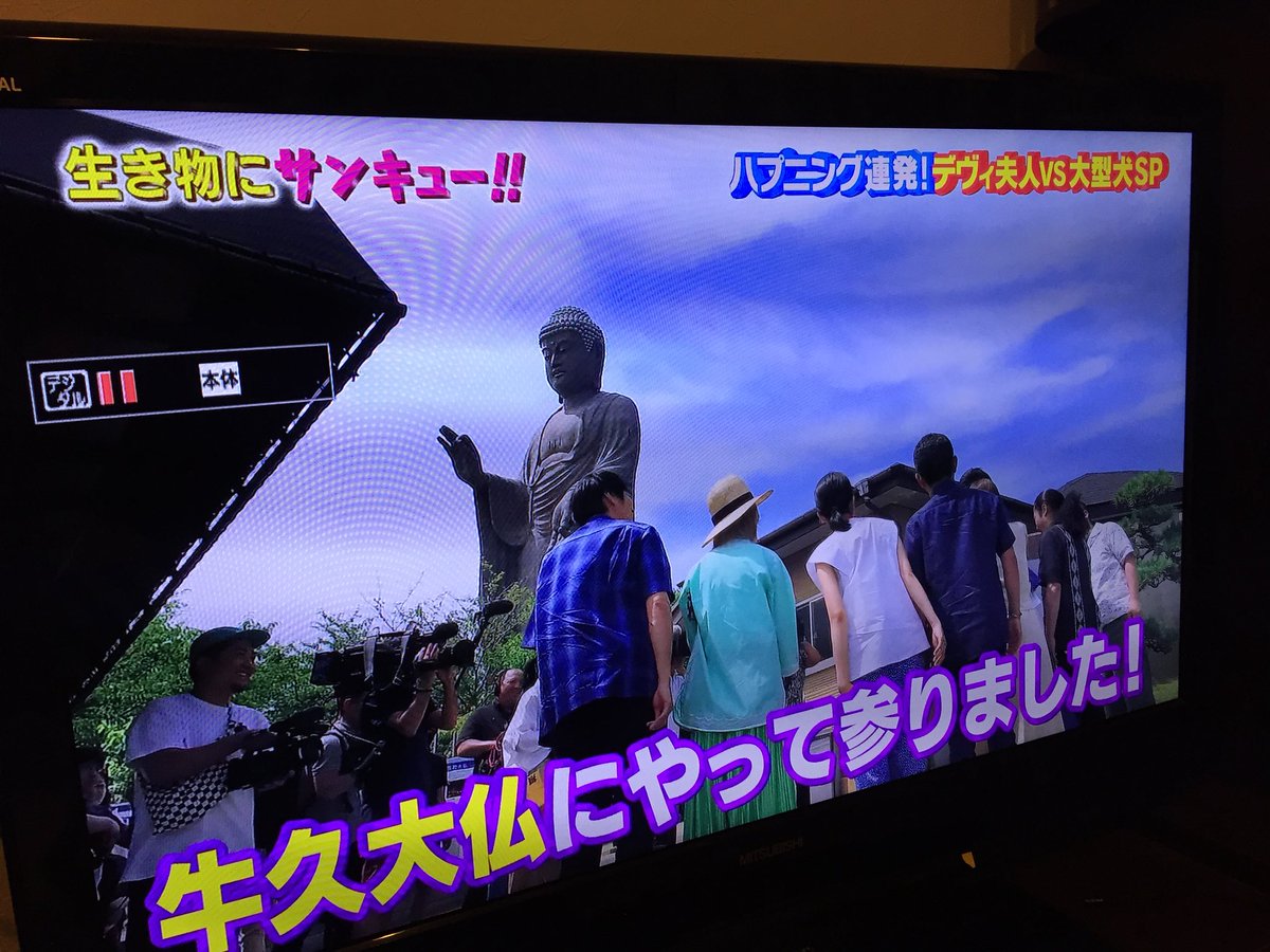 2018年7月11日 生き物にサンキューで 牛久大仏 が話題に トレンドアットtv