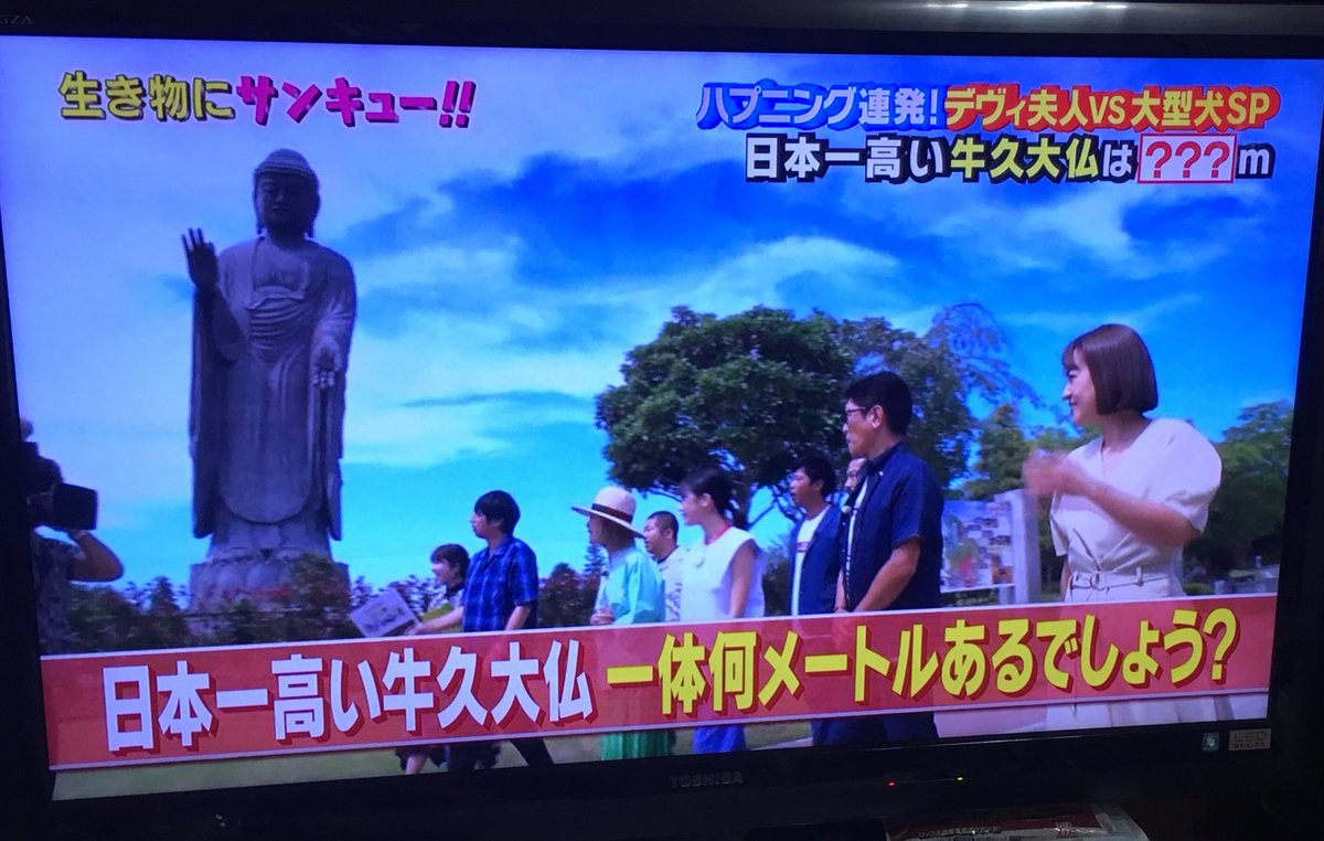 生き物にサンキューで 牛久大仏 が話題に トレンドアットtv