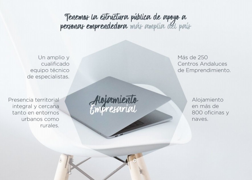 cadesevilla's tweet photo. .@aemprende tiene la estructura pública de apoyo a personas #emprendedora más amplia del país. ¿Quieres más información? Aquí te dejamos este enlace para que consultes nuestra carta de servicio 👉https://t.co/12NkEZtMgu https://t.co/ZXuGCMpaj5